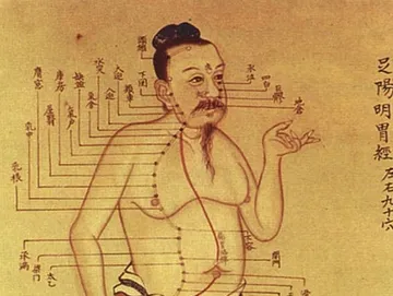 An illustration of meridians